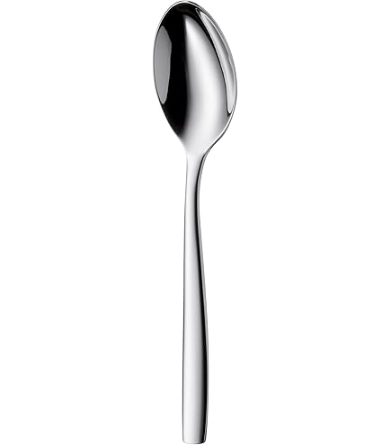 Amazon.com: WMF Table Spoon Philadelphia Cromargan 18/10 Stainless